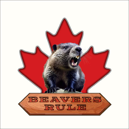 Canadian Beavers Rule   Unisex t-shirt